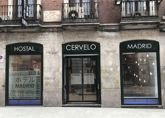 Hostal Cervelo Madrid